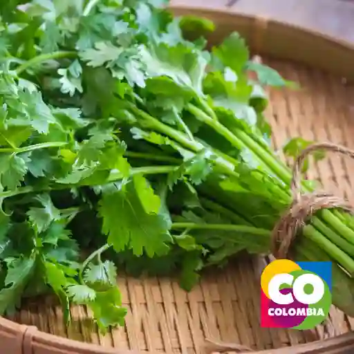Atado De Cilantro