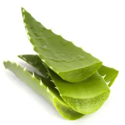 Sabila