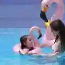 Flotador Piscina Aro Anillo Inflable Cisne Rosa Avenli Niñas