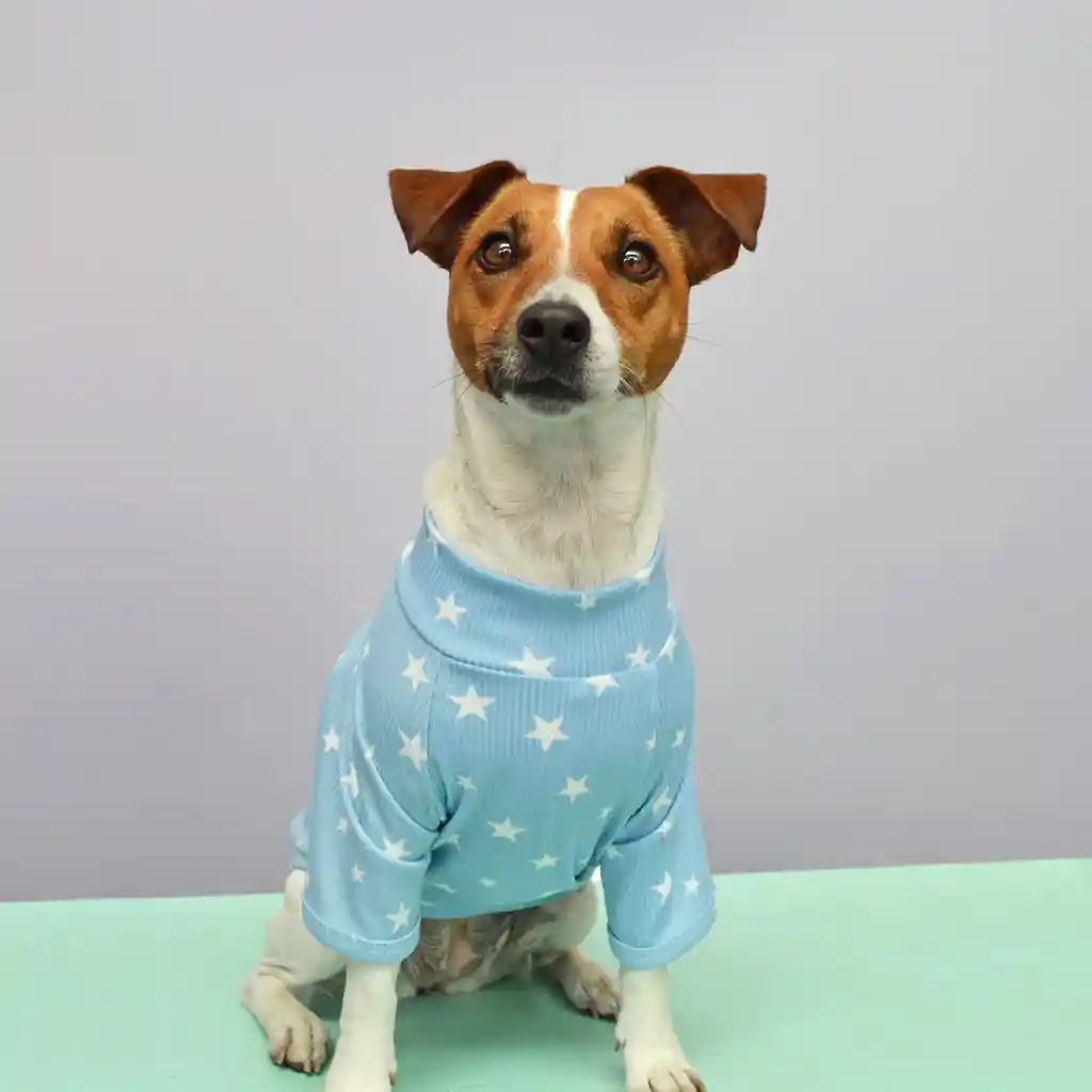 Saco Para Perro Talla S Cuello Nerú Celeste Estrellas