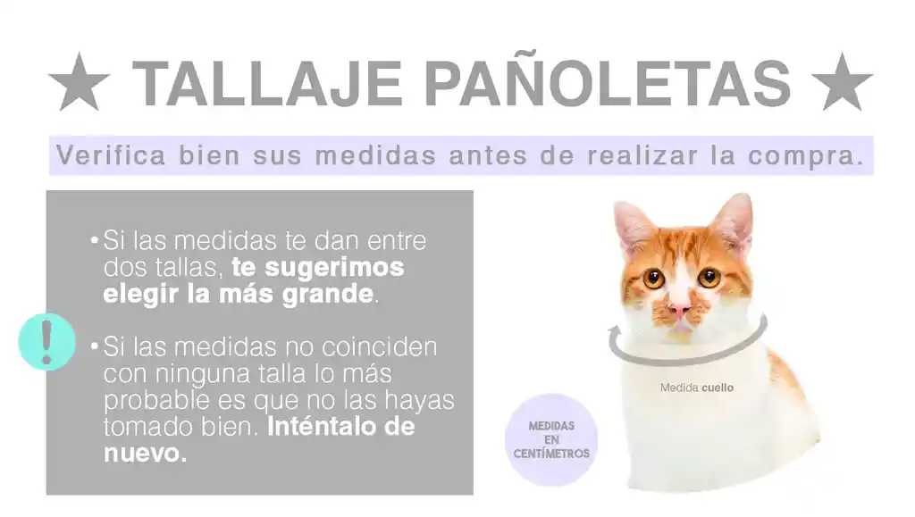 Pañoleta Para Perro Xl Verde Zanahorias