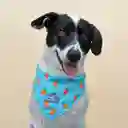 Pañoleta Para Perro Xl Verde Zanahorias