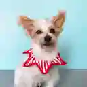 Collar Xl Rayas Blanco Y Rojo Navidad