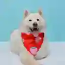 Pañoleta Para Perro Talla S Roja Corazones Rosados