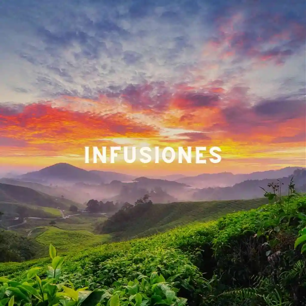 Infusión Summer Love