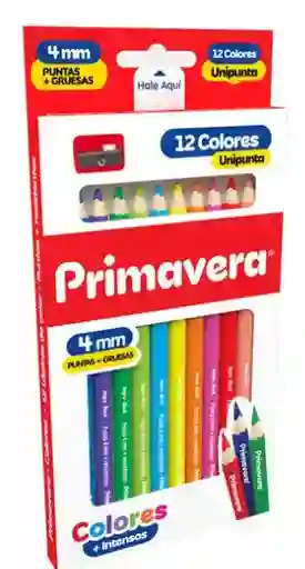 Colores Una Punta Primavera