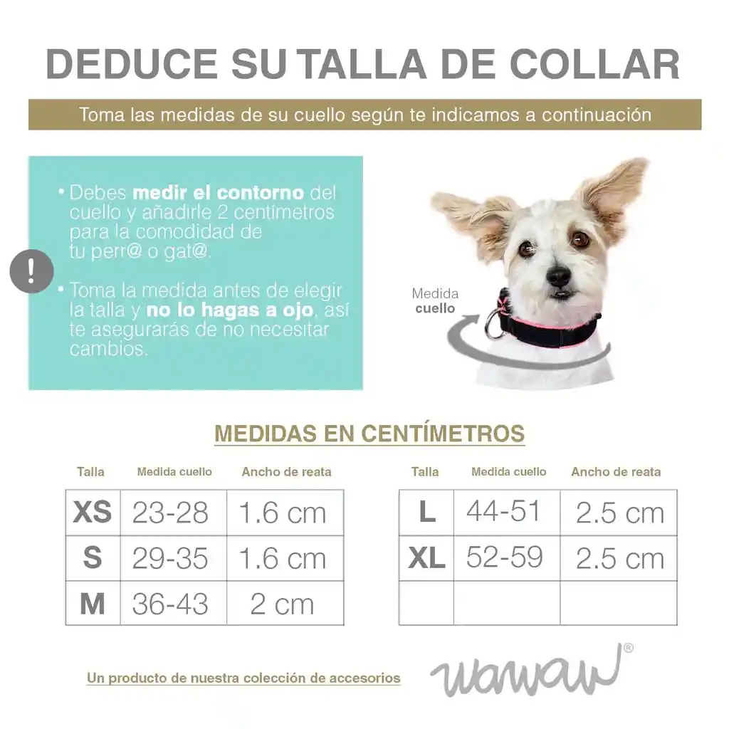Collar Xs Unicolor Adorable Naranja Neón
