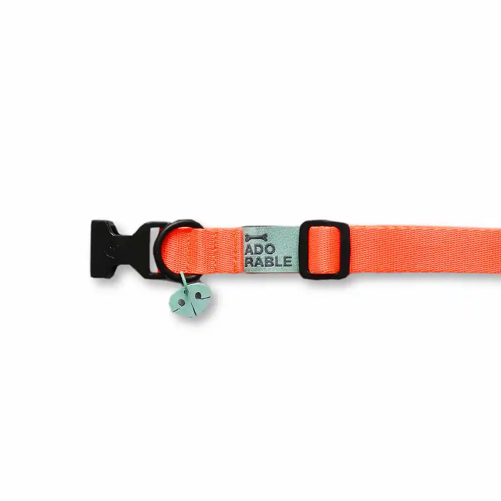Collar Xs Unicolor Adorable Naranja Neón