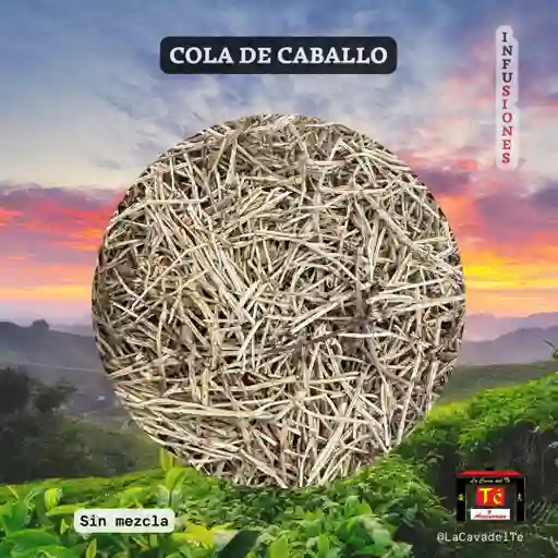 Infusión Cola De Caballo