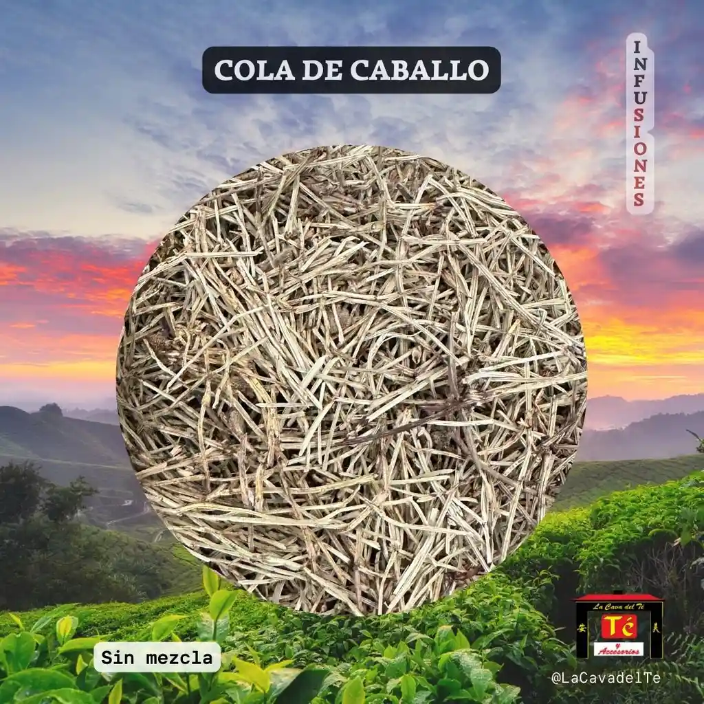 Infusión Cola De Caballo