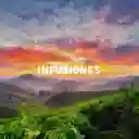 Infusión Cola De Caballo