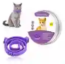 Collar De Feromonas Gato Calming