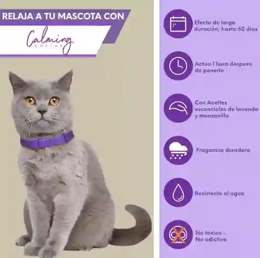 Collar De Feromonas Gato Calming