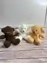 Oso Pequeño 20 Cm