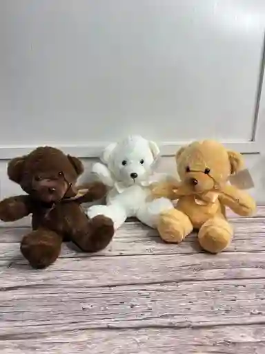 Oso Pequeño 20 Cm