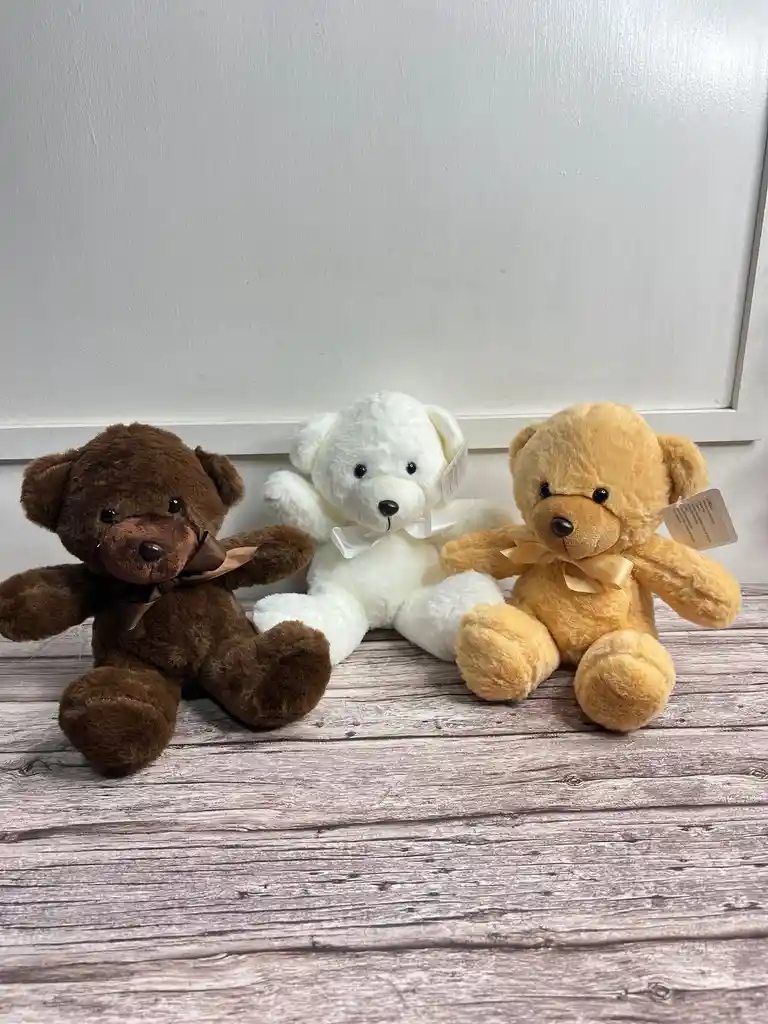 Oso Pequeño 20 Cm