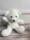 Oso Pequeño 20 Cm