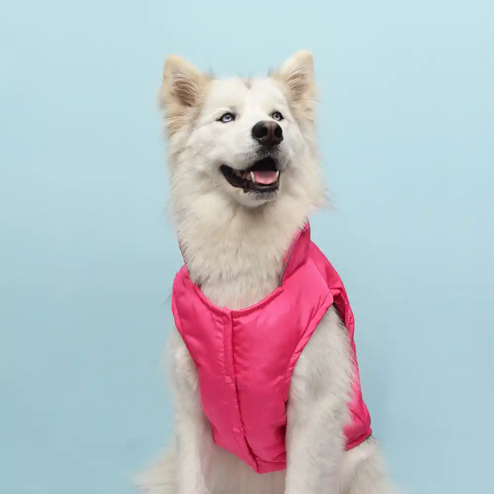 Chaleco S Lifesavers Fucsia Embone Reflectivo