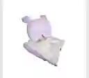 Cobija