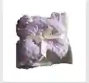 Cobija