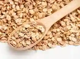 Avena Sin Gluten 500gr