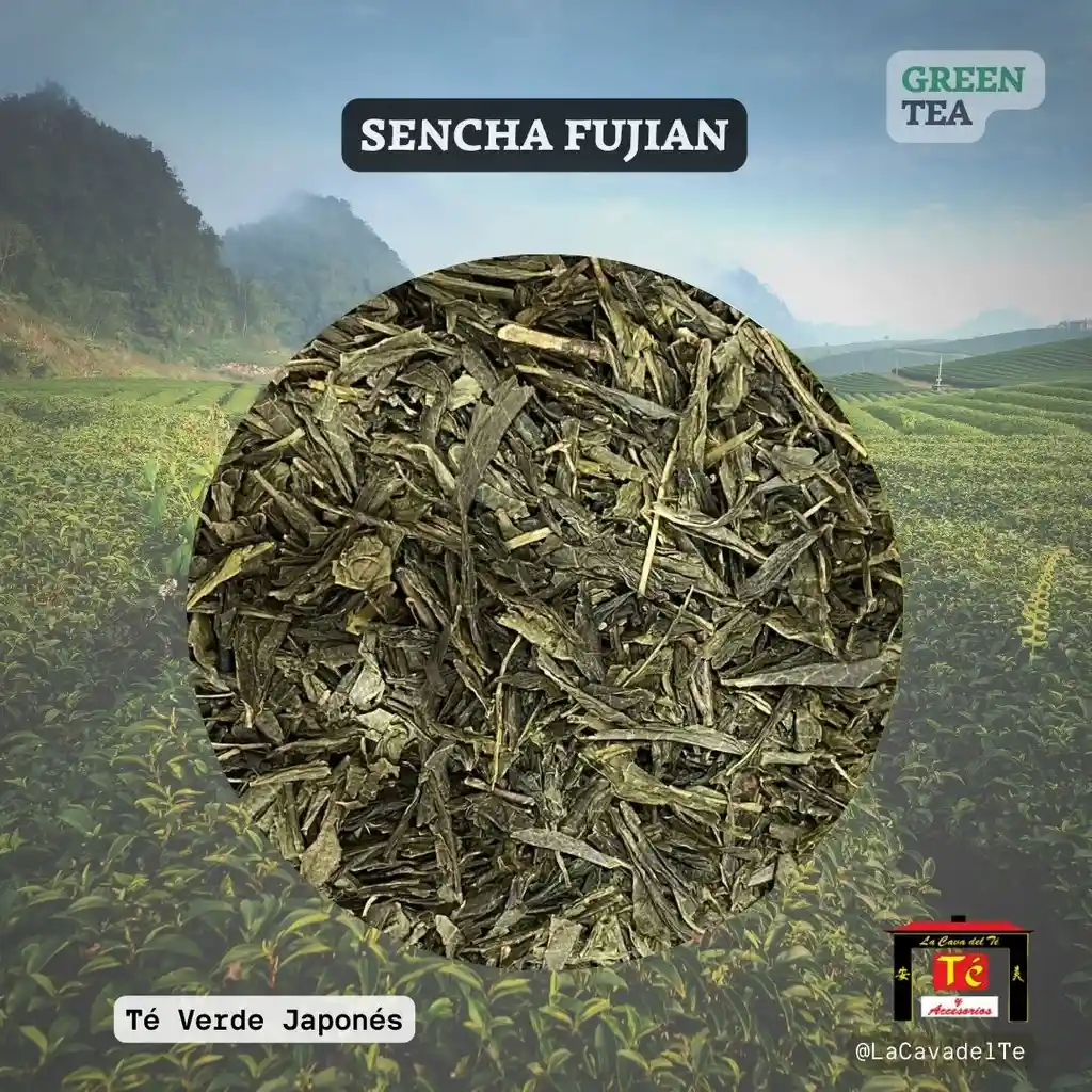 Sencha Fujian - Té Verde