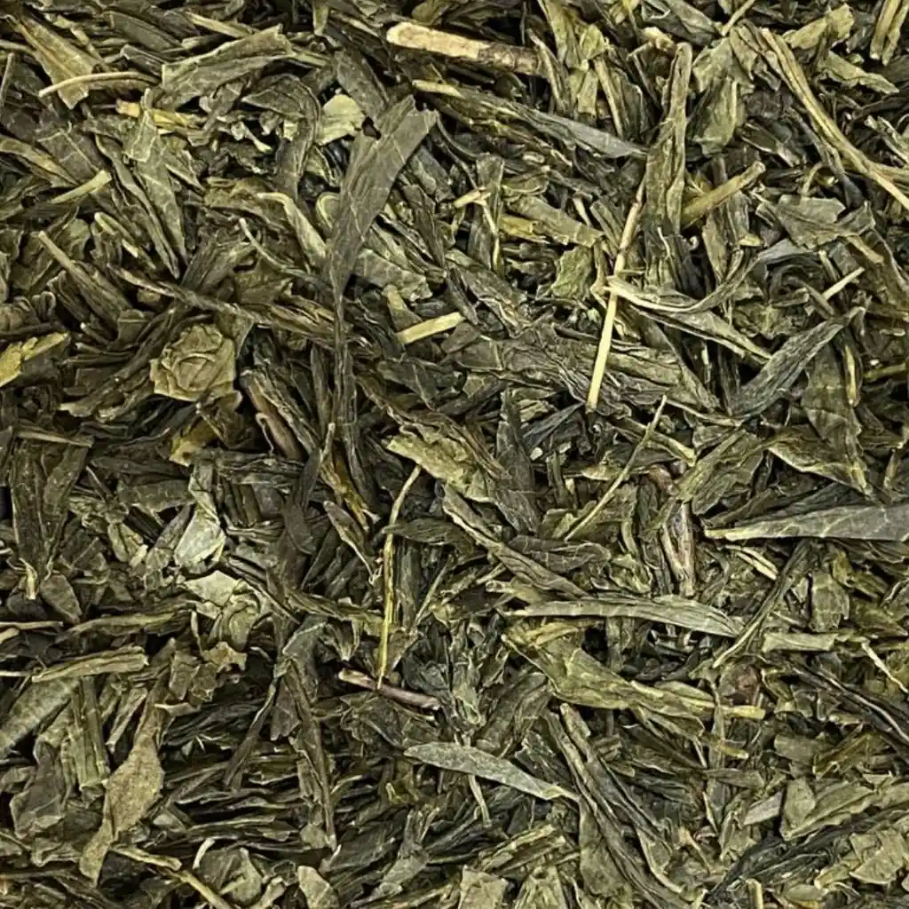 Sencha Fujian - Té Verde