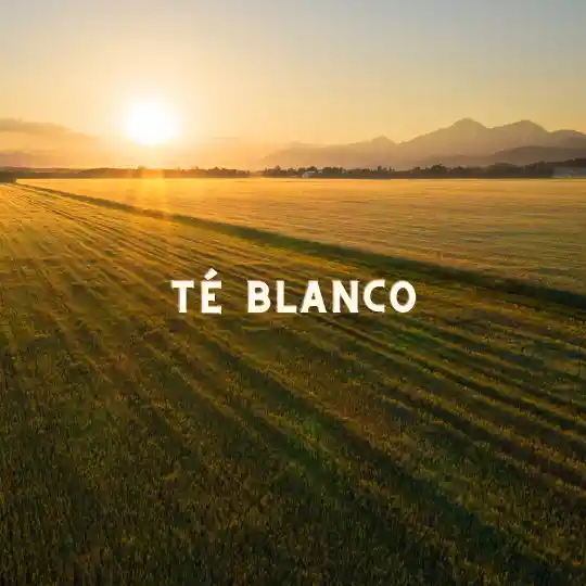 Piel De Porcelana - Té Blanco Y Verde