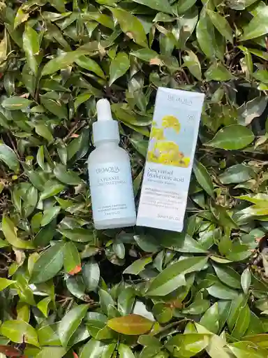 Serum Sea Fennel 30 Ml