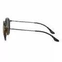 Gafas De Sol Ray Ban Round Icons Rb2447 1157 Color Marrón Talla 49mm