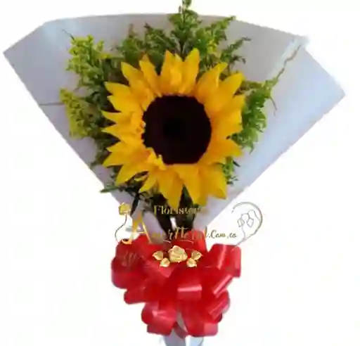 Girasol Por Unidad