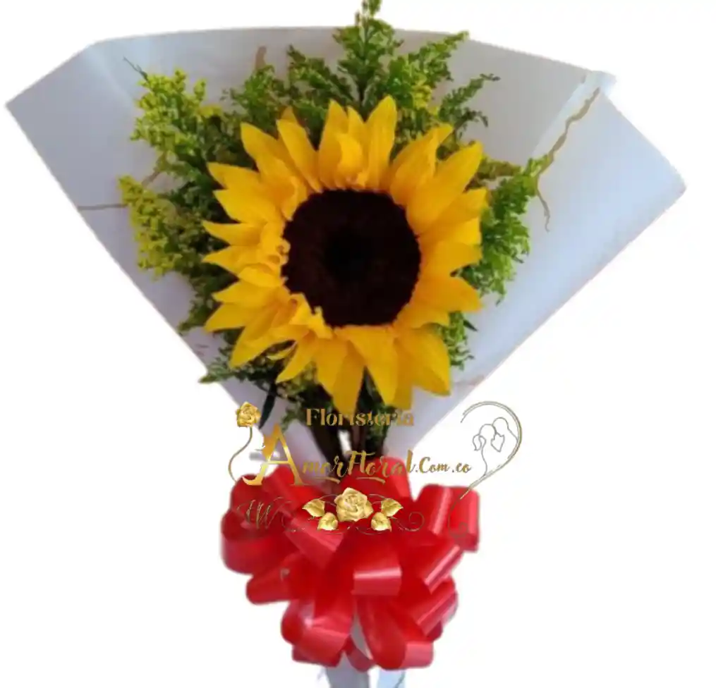 Girasol Por Unidad