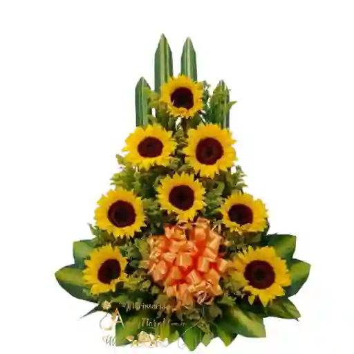 Triangulo De Girasoles