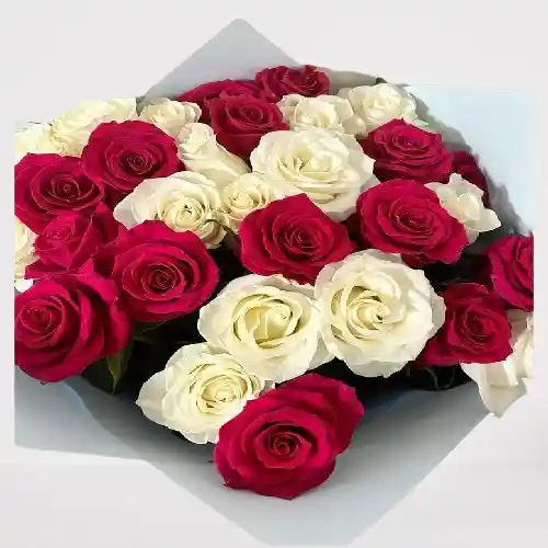 Ramo Con 24 Rosas Rojas Y Blancas - Romance Clásico