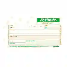 Talonario Recibo Caja Menor Económico X 200 Hojas