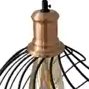 Set X2 Lámpara De Techo Decorativa Balai Con Rejilla