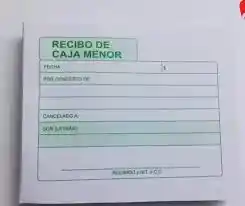 Recibo Caja Menor X 200