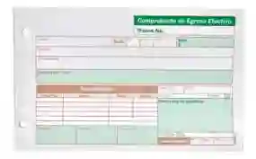 Comprobante De Egreso Efectivo