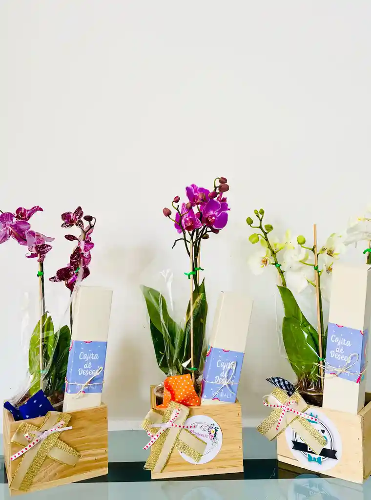 Orquidea Premium Y Velas