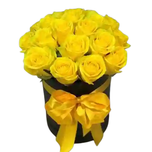 Caja De 24 Rosas Amarillas