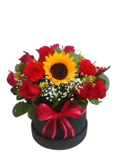 Caja De 12 Rosas Rojas Y 2 Girasoles
