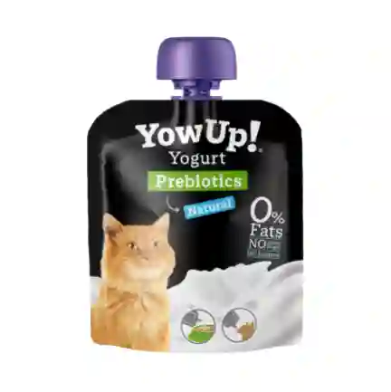 Yogurt Natural Con Prebióticos Para Gatos