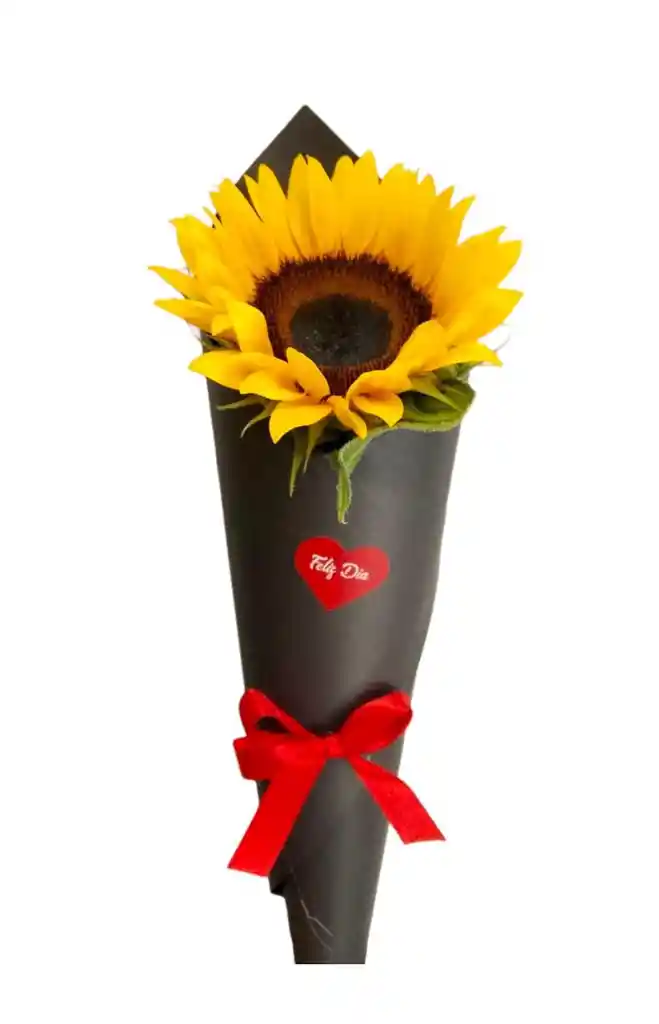 Cono Girasol