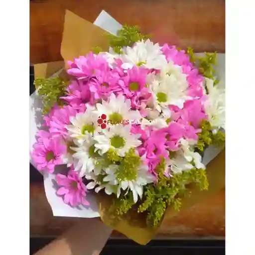 Bouquet De Margaritas Enamorado