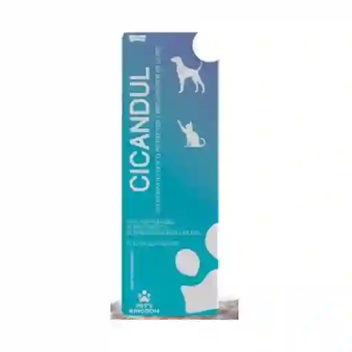 Cicandul Gel To Tub X 35 Gr