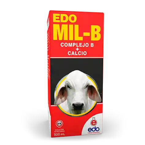 Edo Mil B