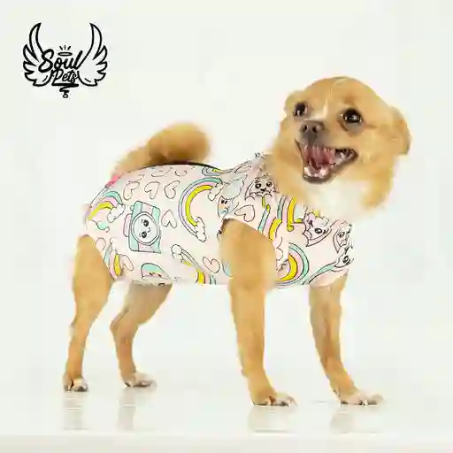 Faja Postquirurgica Hembra Xl Gata O Perra