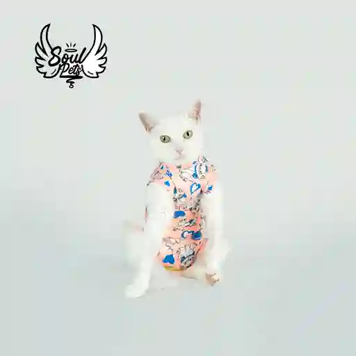 Faja Postquirurgica Macho M Gato O Perro