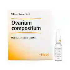 Ovarium Compositum X Ampolla