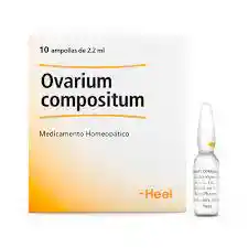 Ovarium Compositum X Ampolla